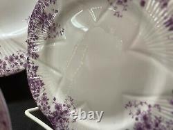 Dainty Mauve Daisy Cup, Saucer, 6 8 & 11 Plate Mauve Trim #051/m Wow
