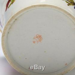 Derby Porcelain Cabinet Cup & Saucer c1810