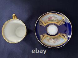 FINE OLD 19th Century ORIGINAL Sevres Porcelain Coffee Cup Saucer Topographical