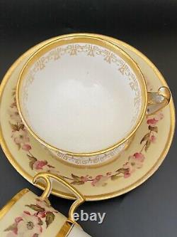 Flight Barr Worcester Yellow Cherry Blossom Tea Cup Saucer Can Trio C. 1813-1840