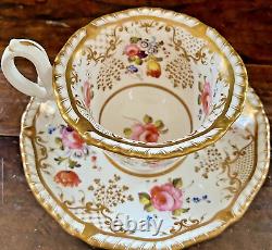 H&R Daniel Porcelain Cup & Saucer Antique Tea Can Regency 1825 Sevres Style EUC