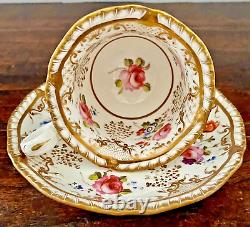 H&R Daniel Porcelain Cup & Saucer Antique Tea Can Regency 1825 Sevres Style EUC