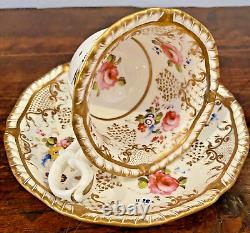 H&R Daniel Porcelain Cup & Saucer Antique Tea Can Regency 1825 Sevres Style EUC