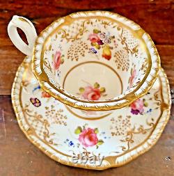 H&R Daniel Porcelain Cup & Saucer Antique Tea Can Regency 1825 Sevres Style EUC