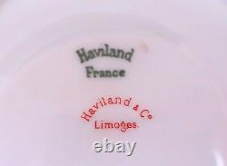 Haviland Limoges Drop Rose Tea Cup & Saucer Set Porcelain Pink Schleiger 55 #1