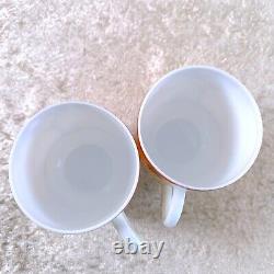 Hermes Demitasse Cup & Saucer Porcelain Tableware AFRICA ORANGE 2 Sets withCase