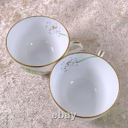 Hermes Paris NIL Tea Cup & Saucer Porcelain Tableware Nile 2 Sets with Box