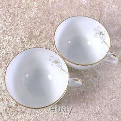 Hermes Paris NIL Tea Cup & Saucer Porcelain Tableware Nile 2 Sets with Case