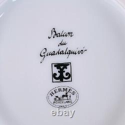 Hermes Paris Tea Cup & Saucer Guadalquivir Rare Platinum Porcelain with Case