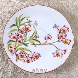 Hermes Paris Tea Cup Saucer Jardin des Orchidees #18 Porcelain Tableware