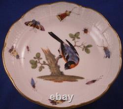 Huge Antique Meissen Porcelain Bird Scene Cup & Saucer Porzellan Tasse Scenic
