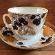 Imperial Porcelain Berry Cup Saucer Lomonosov