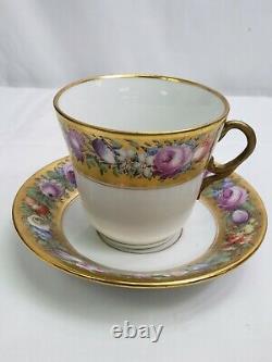 Large Meissen Tea Cup & Saucer Hand Painted Flowers Gold Rimed German Porcelain
