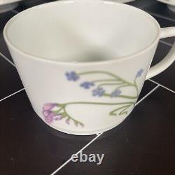 Limoges Denby Langley Summer Song Flat Cup and Saucer Set Porcelain Discontinued