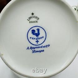 Limoges France porcelain Raynaud Ceralene Mon Jardin Flowers Cup & Saucer Set