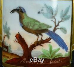 M017 Antique Old Paris Porcelain Ornithological Cup & Saucer Momot & Pingon