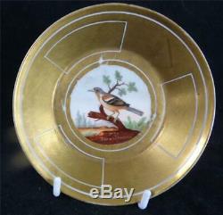 M017 Antique Old Paris Porcelain Ornithological Cup & Saucer Momot & Pingon
