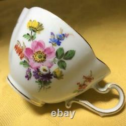 MEISSEN #88 Old Flower Bouquets Insects Cup Saucer