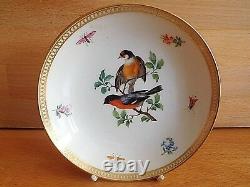 MID 19th Century Meissen Porcelain Cup And Saucer Painted With Birds And Insects