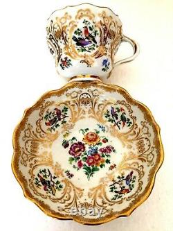 Meissen Porcelain Most Beautiful Painted Birds & Flowers Cabinet Cup & Saucer A