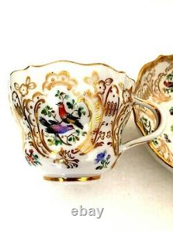 Meissen Porcelain Most Beautiful Painted Birds & Flowers Cabinet Cup & Saucer A