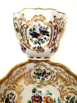 Meissen Porcelain Most Beautiful Painted Birds & Flowers Cabinet Cup & Saucer B