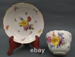 Meissen porcelain tea Cup & Saucer set Scattered Flowers and insects 19. Century
