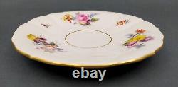 Meissen porcelain tea Cup & Saucer set Scattered Flowers and insects 19. Century