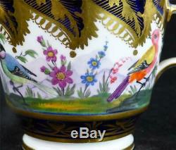 N978 C1810 Antique English Porcelain Cup Saucer Exotic Birds Coalport