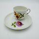 Nymphenburg Tea Cup & Saucer Porcelain L 20517 Hand Painted Floral Antique