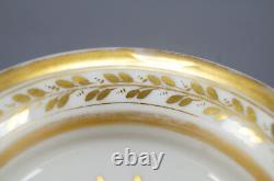 Old Paris Porcelain Gold Net & Leaf Snake Handle Tea Cup & Saucer Circa 1820-40