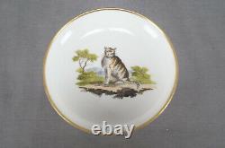 Old Paris Porcelain Hand Painted Cat Landscape & Gold Tea Cup & Saucer C. 1820s