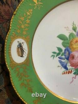 Pair of 18th century Sevres green ground porcelain plates plate insects floral