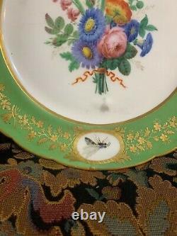 Pair of 18th century Sevres green ground porcelain plates plate insects floral