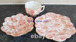 Pre SHELLEY WILEMAN china DAISY CUP SAUCER PLATE TRIO JUNGLE SHEET 4129 pattern