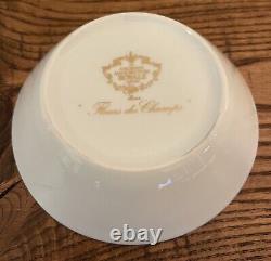 RARE Ancienne Royale De Limoges'Fleurs de Champs' Porcelain Cup & Saucer