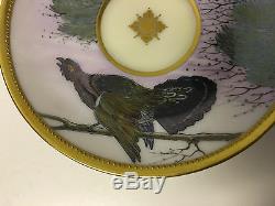 RARE Antique Ambrosius Lamm Dresden Porcelain Cup Saucer Bird Dec. Signed Ander