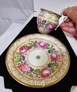 RARE Antique KPM Royal Berlin Cup & Saucer Pink Rose Swan Handle porcelain- READ