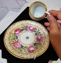 RARE Antique KPM Royal Berlin Cup & Saucer Pink Rose Swan Handle porcelain- READ