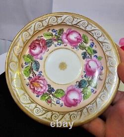 RARE Antique KPM Royal Berlin Cup & Saucer Pink Rose Swan Handle porcelain- READ