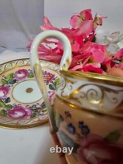 RARE Antique KPM Royal Berlin Cup & Saucer Pink Rose Swan Handle porcelain- READ