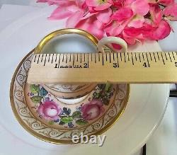 RARE Antique KPM Royal Berlin Cup & Saucer Pink Rose Swan Handle porcelain- READ