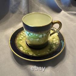 Rare Antique ESPRESSO CUP and SAUCER Rosenthal Selb Bavaria Hand Painted