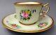 Rare Antique Hand Painted Royal Vienna Cup & Saucer 1860