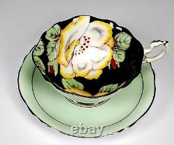 Rare Paragon Porcelain Green Hibiscus On Black Tea Cup And Saucer