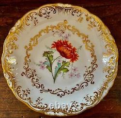 Regency Coalport Cup & Saucer Botanical Hand Painted John Rose