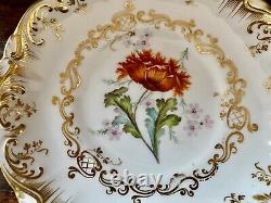 Regency Coalport Cup & Saucer Botanical Hand Painted John Rose