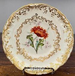 Regency Coalport Cup & Saucer Botanical Hand Painted John Rose