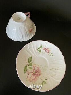 Scarce SHELLEY HONEYSUCKLE OLEANDER CUP & SAUCER Mint Condition White Pink