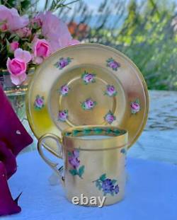 Sevres Rare Antique Cup and Saucer Gold and Roses Decor 19th ct